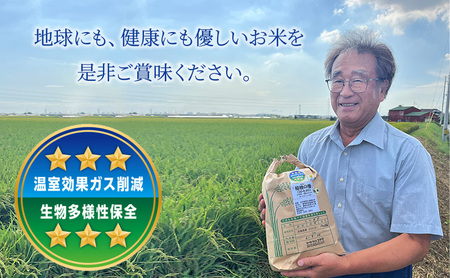 コシヒカリ 稲穂の香 精米 白米 兵庫県産 コシヒカリ【10kg】【令和7年産】