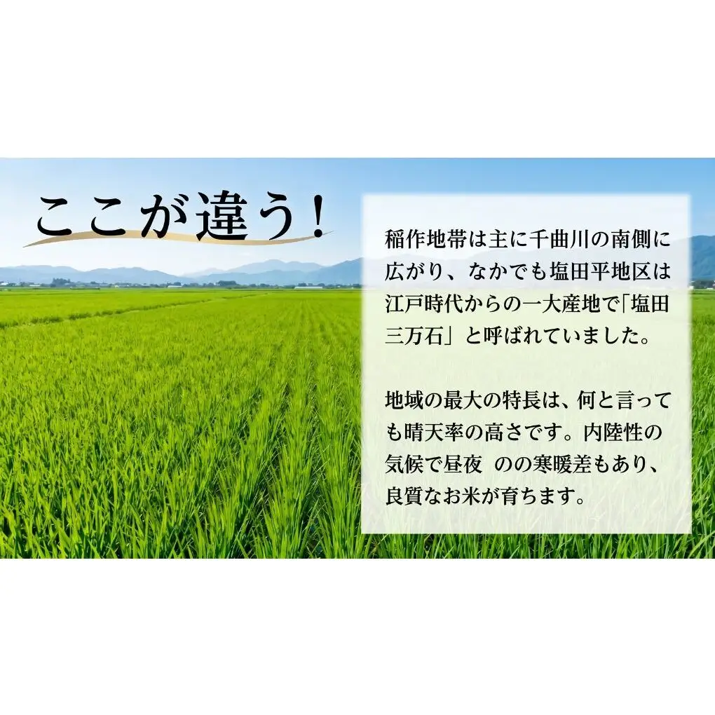 米 コシヒカリ 30kg (10kg×3袋) お米 白米 精米 単一原料米 ブランド米 銘柄米 30キロ 令和7年産 長野県産 長野 長野県 上田市