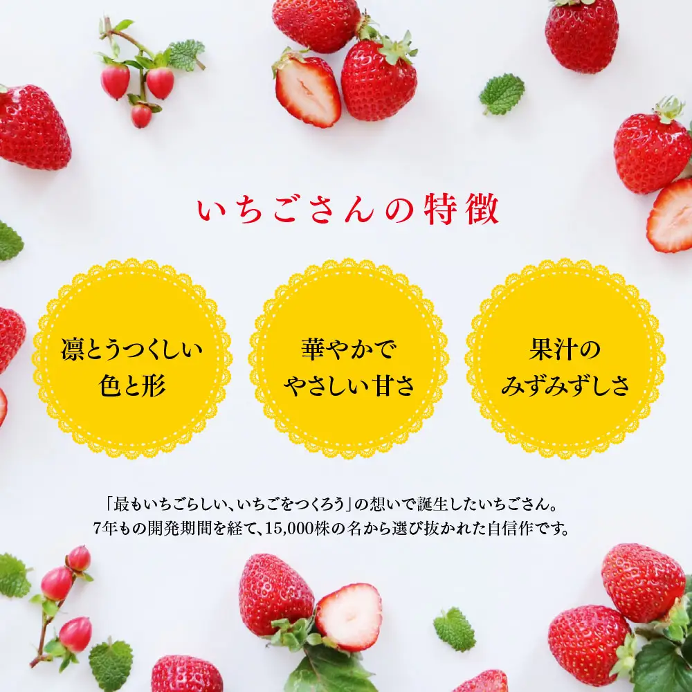 【先行受付 令和9年1月下旬より発送】特選いちご(いちごさん) 250g×4パック(H101107)