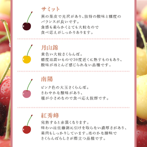 先行受付 さくらんぼ 赤 南陽 2kg（500g×4パック）高級