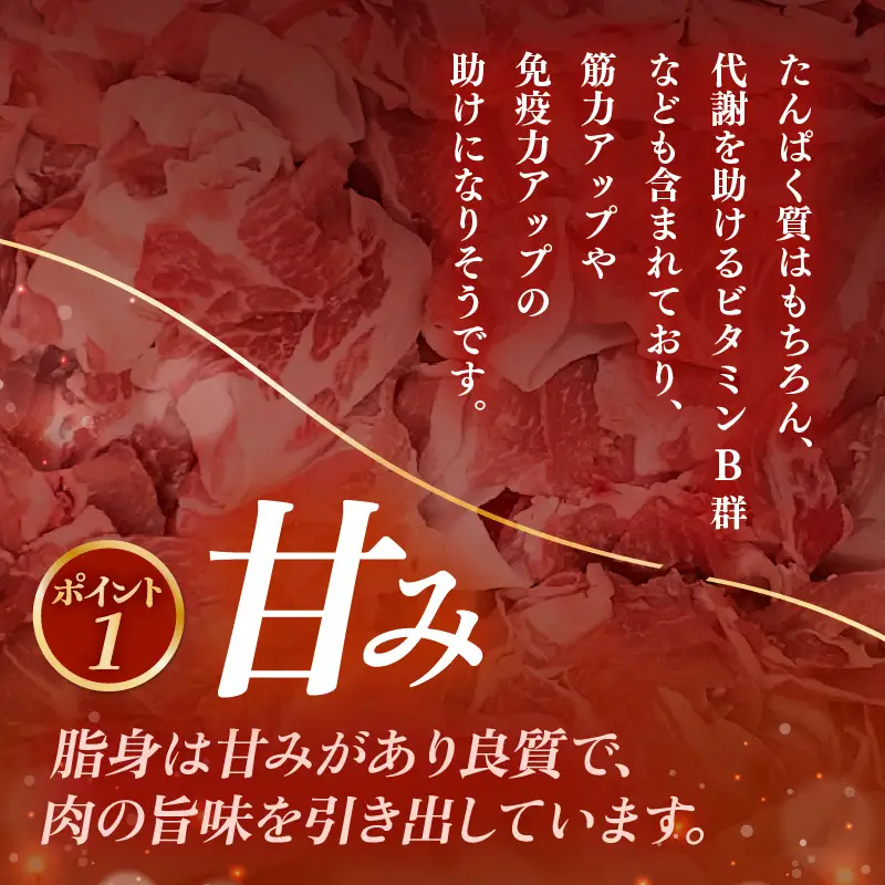 【ブランド豚】 ふくいポーク 切り落とし 500g  冷凍 国産豚肉 [e02-a030]