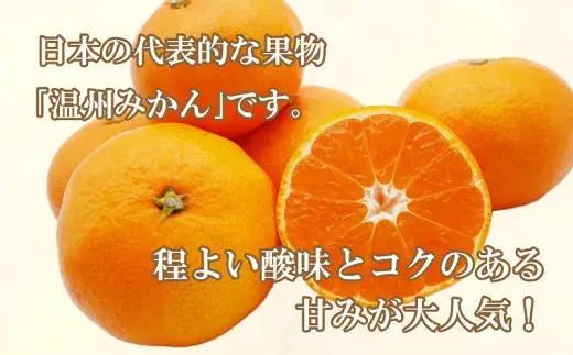 訳あり 愛媛 みかん 5kg