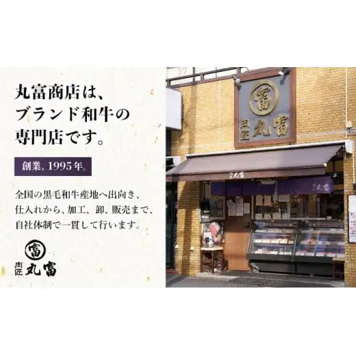 石垣島 島牛ハンバーグ 100g×10個   YC-7