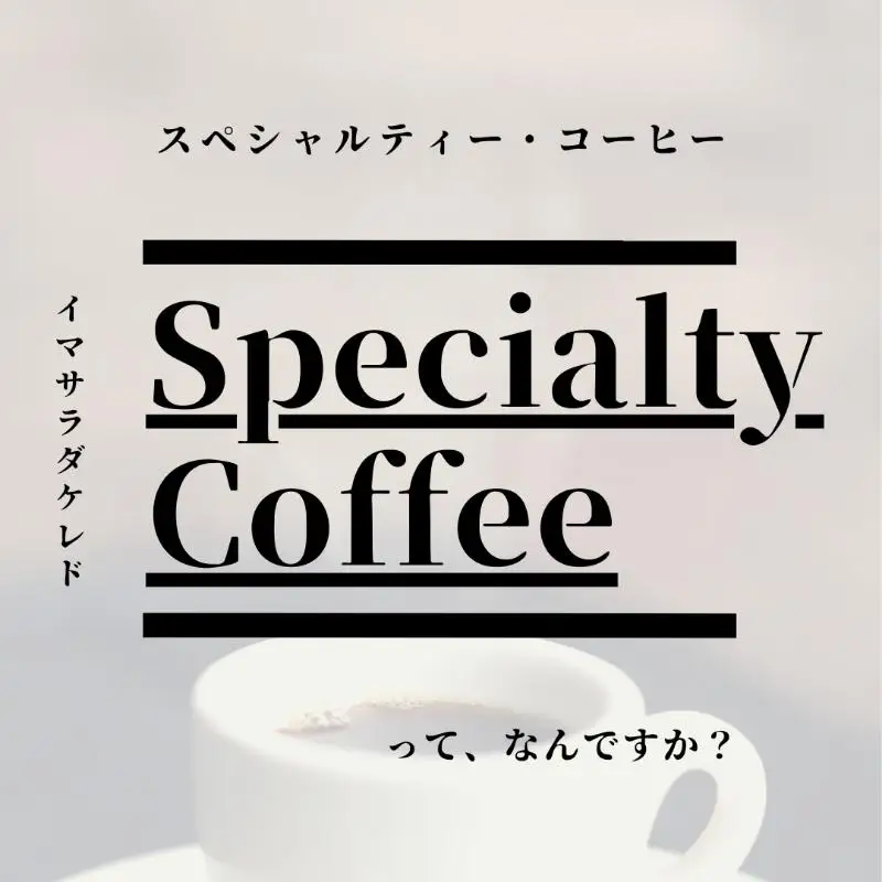 スペシャルティコーヒー焙煎豆 浅煎り 300g 定期便 全12回 12か月【毎月配送コース】