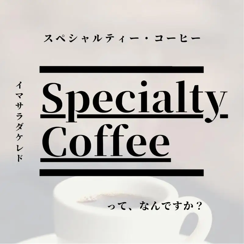 スペシャルティコーヒー焙煎豆 中深煎り 300g 定期便 全12回 12か月【毎月配送コース】