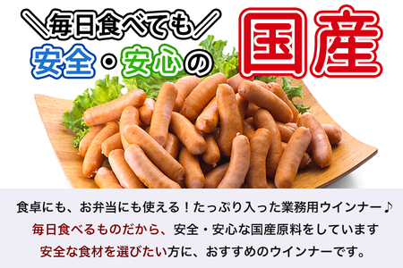 訳あり 国産 ウインナー 1kg 冷凍 ソーセージ ウインナー DV030