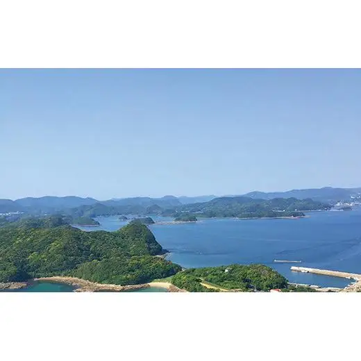 九十九島海鮮紀行（お刺身・海鮮丼）