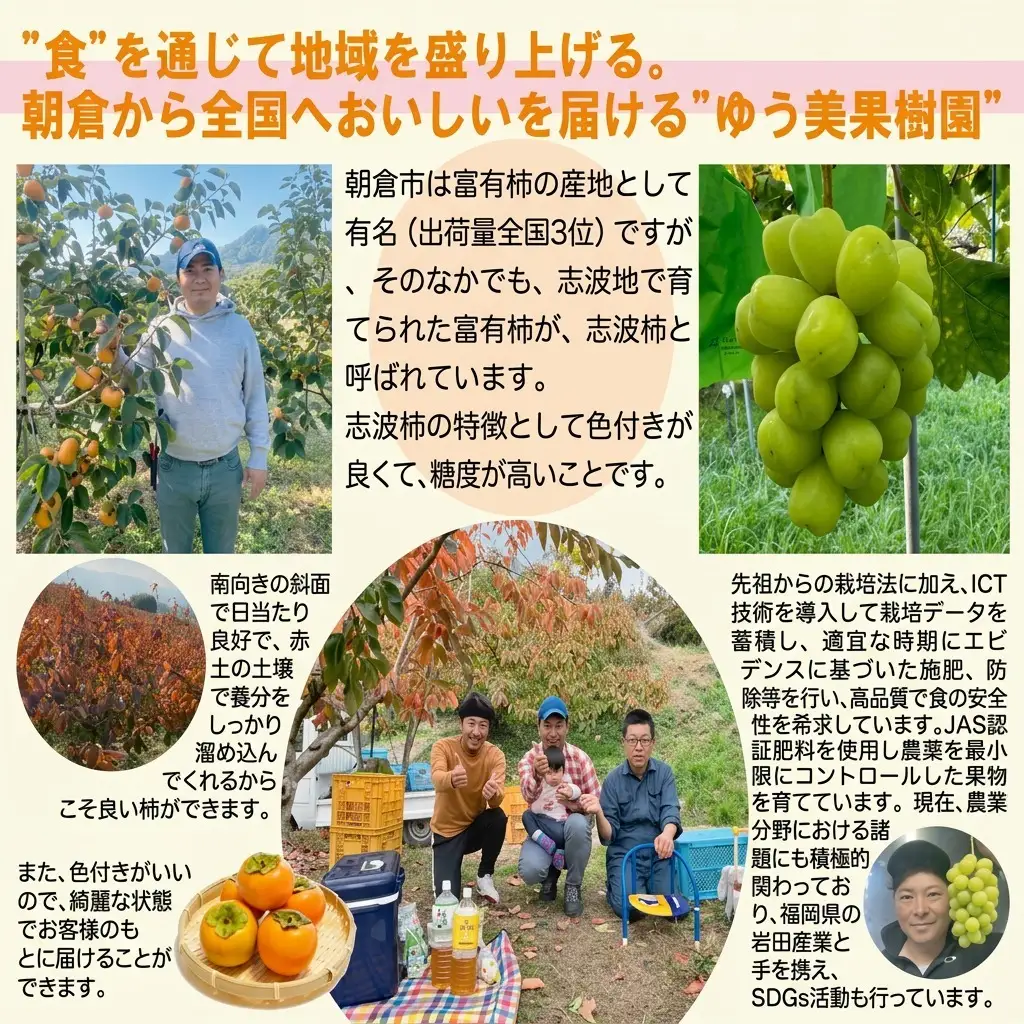 【数量限定】 葡萄 2026年先行予約 ピオーネ 1～3房 約1kg 葡萄