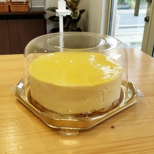 レモンチーズケーキ (a10-1141)