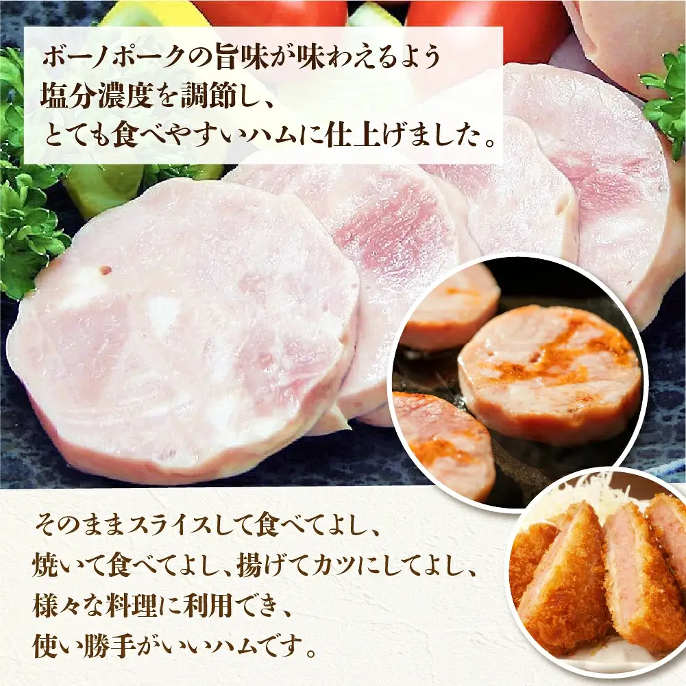 【定期便 3回】飛騨味職人「ボーノポーク満喫定期便」【57-E】