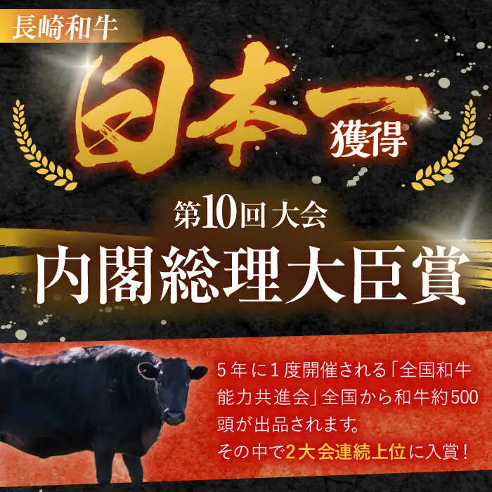 長崎和牛 切り落とし 2kg（400g×5）肩ロース・モモ・カタ・バラ使用 / 牛肉 ぎゅうにく 肉 和牛 国産牛 切落し?/ 諫早市 / 西日本フード株式会社 [AHAV006]