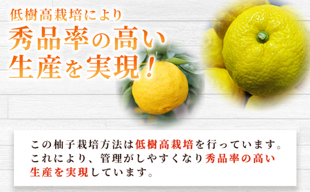 ＜柚子 優 Lサイズ 54個（18個入り×3箱）＞ 約6kg 6000g ゆず 国産 果物 フルーツ 低樹高栽培 おいしい JAひがしうわ 東宇和農業協同組合 愛媛県 西予市【常温】『2025年10月下旬～12月上旬迄に順次出荷予定』UHU0004