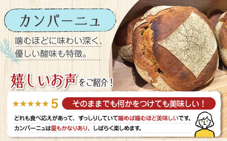 【11月中旬から5月頃まで順次発送】「パン詰め合わせAセット」とEVオリーブオイル「能美島ブレンド マイルド100ml」セット パン オリーブオイル 油 朝食 おやつ 江田島市/しまのぱんsouda！[XAQ016]
