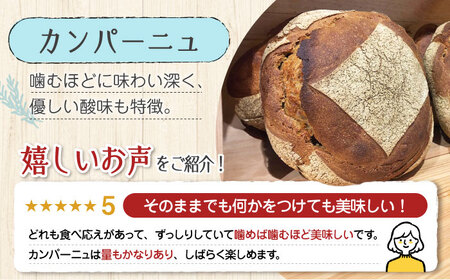 【11月中旬から5月頃まで順次発送】「パン詰め合わせAセット」とEVオリーブオイル「江田島ブレンドミディアム100ml」セット パン オリーブオイル 油 朝食 おやつ 江田島市/しまのぱんsouda！[XAQ017]
