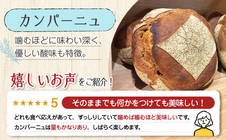 【11月中旬から5月頃まで順次発送】「パン詰め合わせAセット」とEVオリーブオイル「江田島ブレンド ストロング100ml」セット パン オリーブオイル 油 朝食 おやつ 江田島市/しまのぱんsouda！[XAQ018]