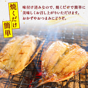 訳あり いわし 干物 16尾 天日干し 冷蔵
