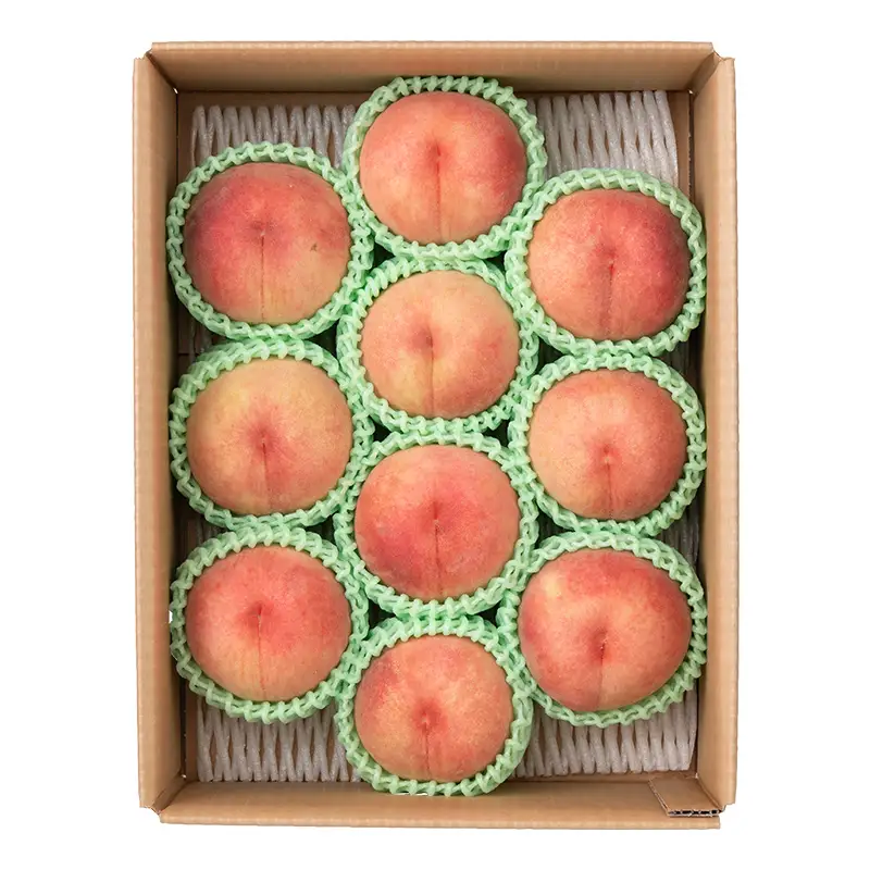 【ご家庭用】令和9年産 先行受付 農家直送「白桃」約3kg(6～11玉) 品種おまかせ 山形県 中山町 F4A-0471