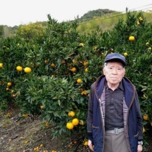  みかん【先行受付】【2027年1月末以降発送】 濃厚な甘さが特徴！青島みかん ＜約7kg＞ 広島 三原 佐木島 鷺島みかんじま 017055