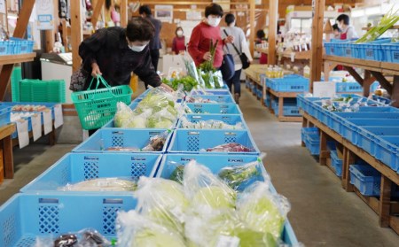 6回お届け　季節の旬野菜詰合せ