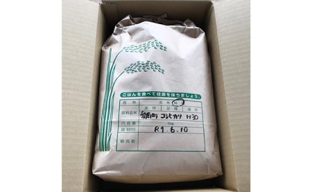 米 お米 おこめ 白米 国産 コシヒカリ 精米 5kg ゆらり内海 ブランド 炊きたて 冷めても 美味しい 旨味 甘み 愛媛 愛南 産 産地 直送 産直