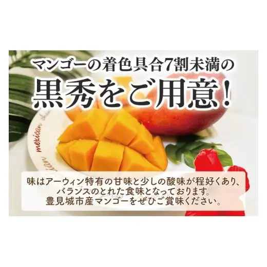 【先行受付】【2027年発送】豊見城産アーウィンマンゴー約1.5kg（化粧）黒秀 AE007