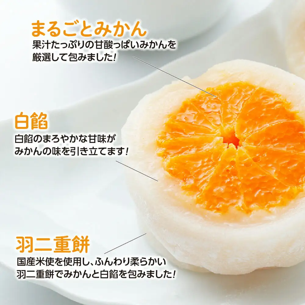 和菓子 甘仙堂 みかん丸ごと1個入った みかん大福 10個入り 大福 和菓子 スイーツ