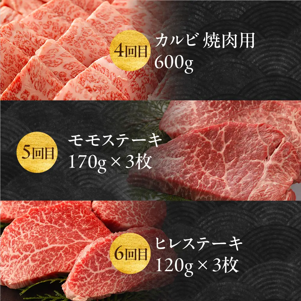【定期便 6回】飛騨牛食べ尽くし定期便 6カ月（飛騨牛すき焼き 焼肉 ステーキ ）【冷凍】【22-B】