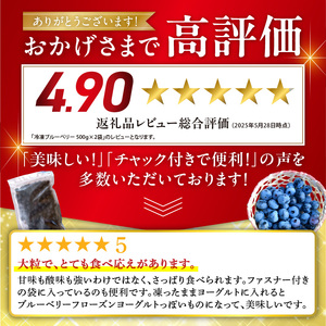 【2026年11月以降発送】冷凍ブルーベリー 500g×2袋（チャック付き袋） 北海道産ブルーベリー 余市産ブルーベリー  ブルーベリー 1kg フルーツ 冷凍フルーツ 果物__Y111-0007