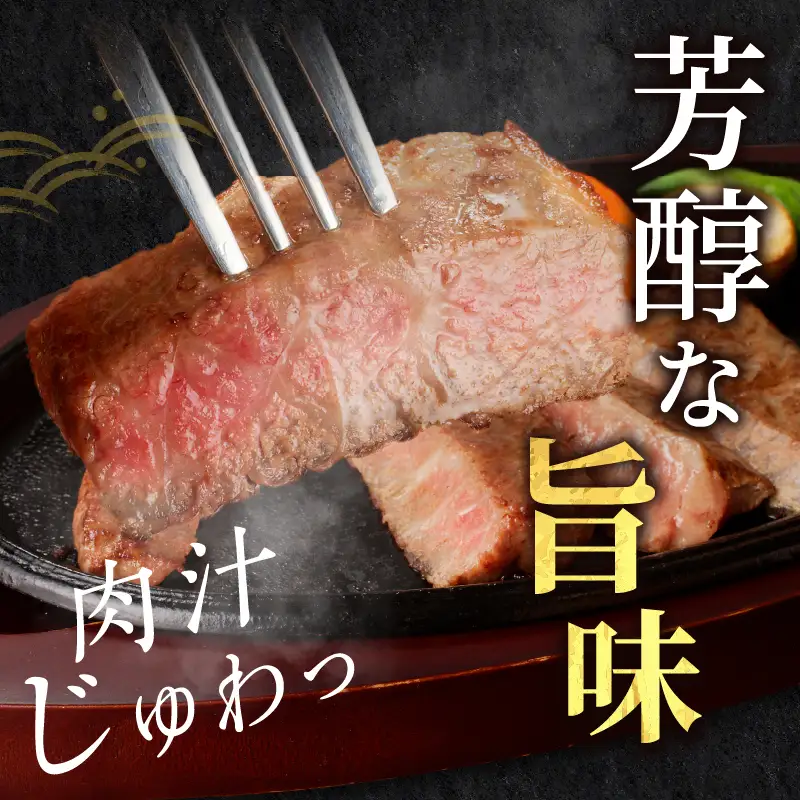 宮崎牛モモステーキ(計400g) 肉 牛 牛肉 国産_T009-0186