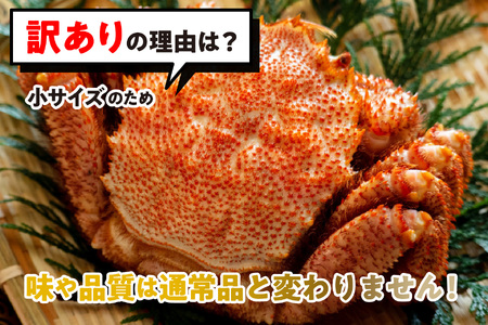 ＜ 2027年2月上旬より発送開始 ＞ 訳あり 北海道産 浜ゆで 毛ガニ 1尾 ( 200g ～ 300g ) かに 蟹 ＜ 予約受付 ＞