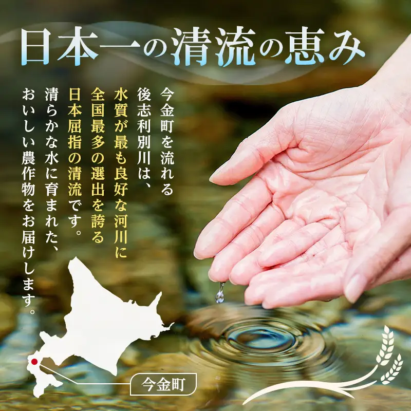 【順次発送】令和8年産 ふっくりんこ 5kg 北海道今金町産 米 白米 米俵 F21X-879