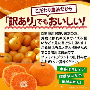 【2026年先行予約】ご家庭用 田村みかん サイズ混合(2S～２L) 約10kg わけあり 訳あり 不揃い 和歌山プレミアムブランドみかん 小玉 中玉 大玉 蜜柑 ミカン フルーツ 果物_AB7300
