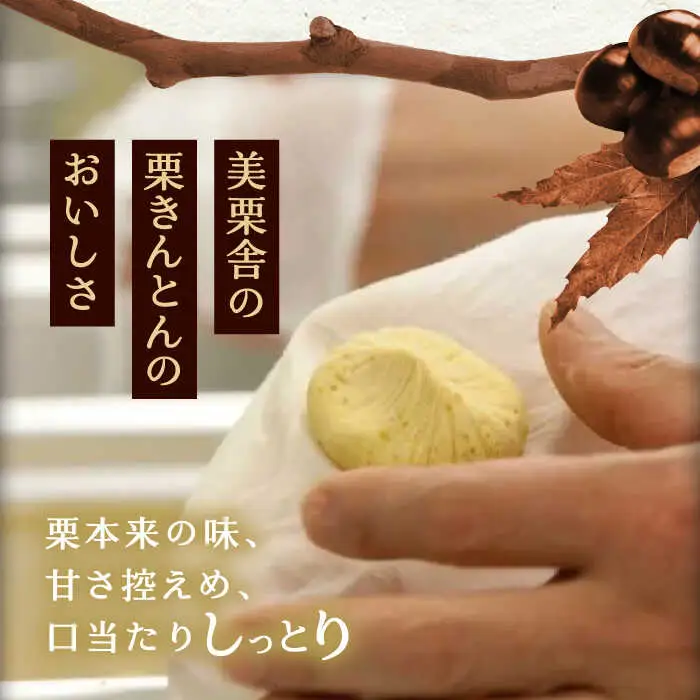 【季節限定】栗きんとん・柿ぼっくり 各6個セット / 恵那市 / 銀の森 [AUBG017] 栗きんとん