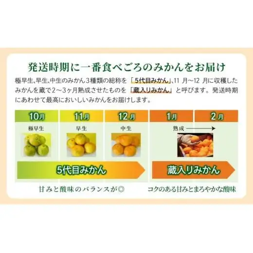 【期間限定】さがみかん (5代目みかん) 4.5kg【温州みかん 甘い 濃厚 ジューシー コク 完熟 熟成みかん 蔵出し 蔵入り 柑橘 密柑 ギフト 果物 フルーツ 佐賀県産 佐賀県 大和 太良 石橋果樹園 人気】
