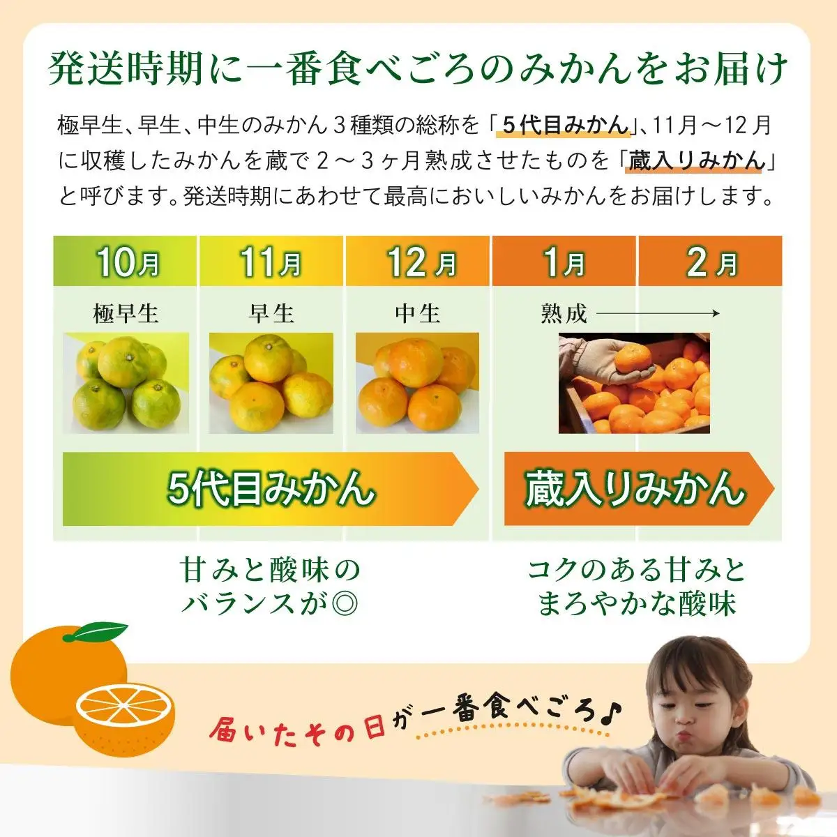 【期間限定】さがみかん （蔵入りみかん4.5kg）【温州みかん 甘い 濃厚 ジューシー コク 完熟 熟成みかん 蔵出し 蔵入り 柑橘 密柑 ギフト 果物 フルーツ 佐賀県産 佐賀県 大和 太良 石橋果樹園 人気】