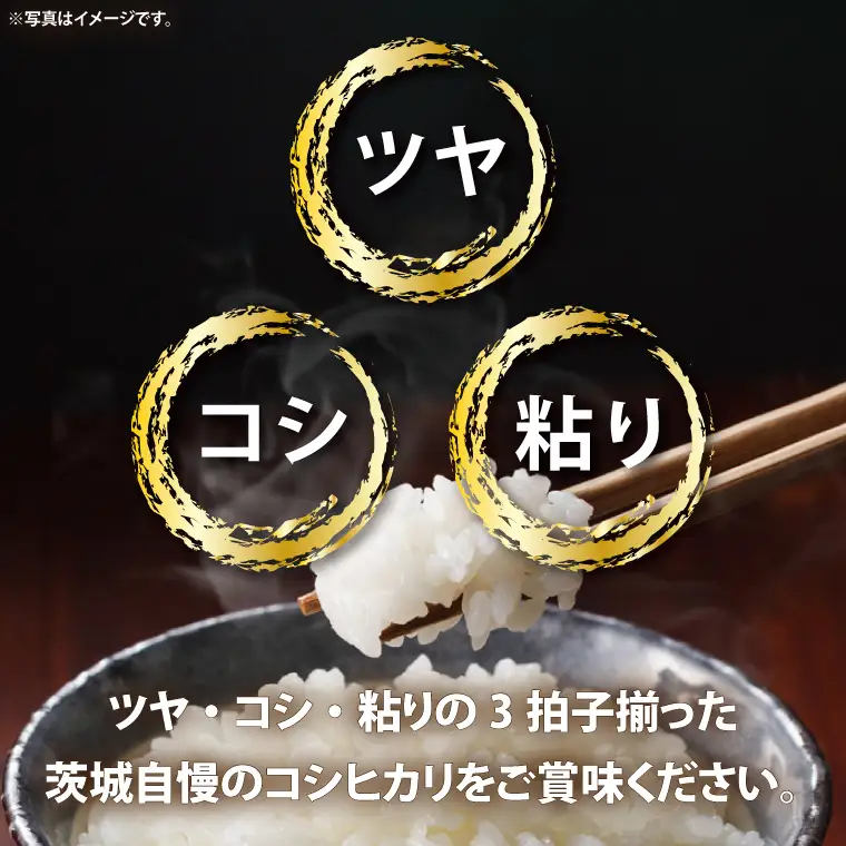 【令和7年産】茨城コシヒカリ5kg×2（LL-5）