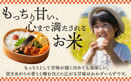 【令和７年度産】野沢温泉村産 JAS有機こしひかり 体によし 20kg（無洗米）｜K-k20   無農薬 JAS こめ 白米 ごはん 長野県 信州