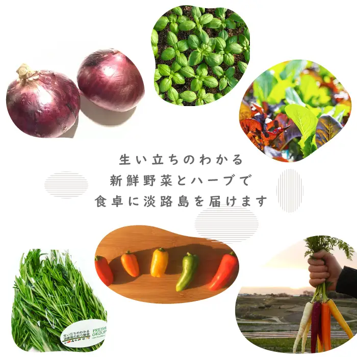 【定期便】彩り野菜と香るハーブセット　3回お届け　野菜