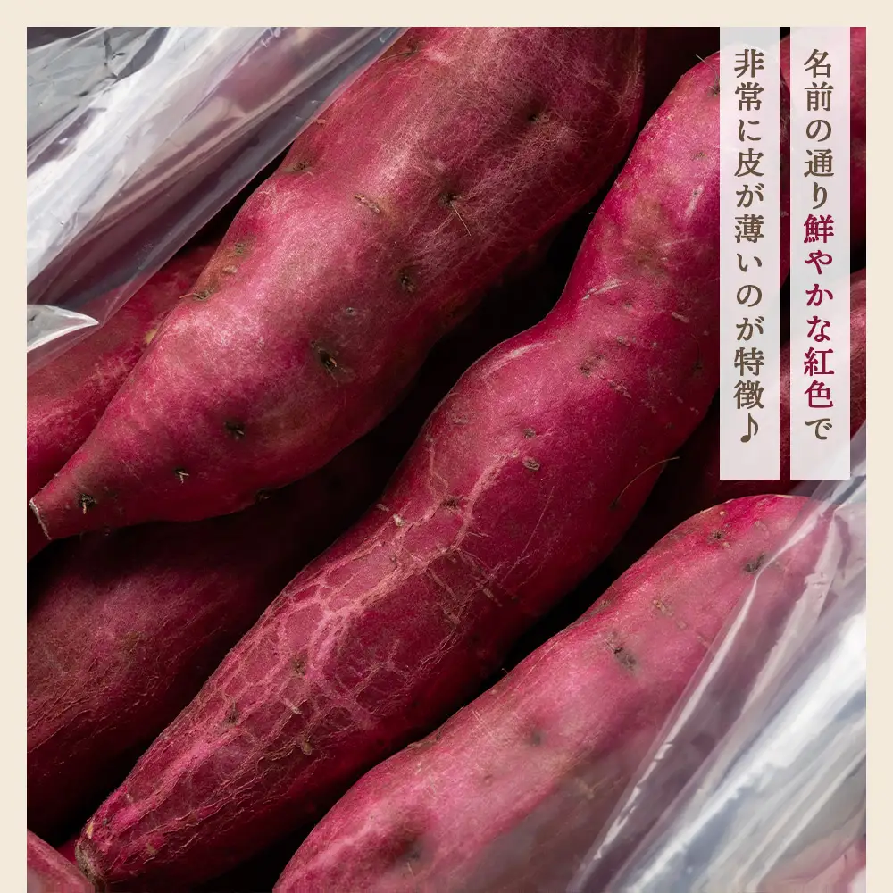 【８月発送開始】さつまいも（土佐紅）10kg - サツマイモ さつま芋 野菜 焼き芋 やきいも 焼いも おやつ スイーツ スイートポテト バター焼き アレンジ 料理 国産 高知県 香南市 yr-0146