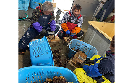 大福丸の殻付き牡蠣 20個 【三陸山田産】【沖縄・離島配送不可】三陸山田 山田町 山田湾 海産品 かき YD-721