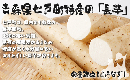 ねばりまこと芋（ネバリスター）1.5kg　（真空パック包装）【青森県 七戸町 送料無料 長芋 山芋 イチョウ芋 大和芋 粘り 小分け 個包装 便利 プレーン 無添加 とろろ 栄養 ご飯のお供】【02402-0323】