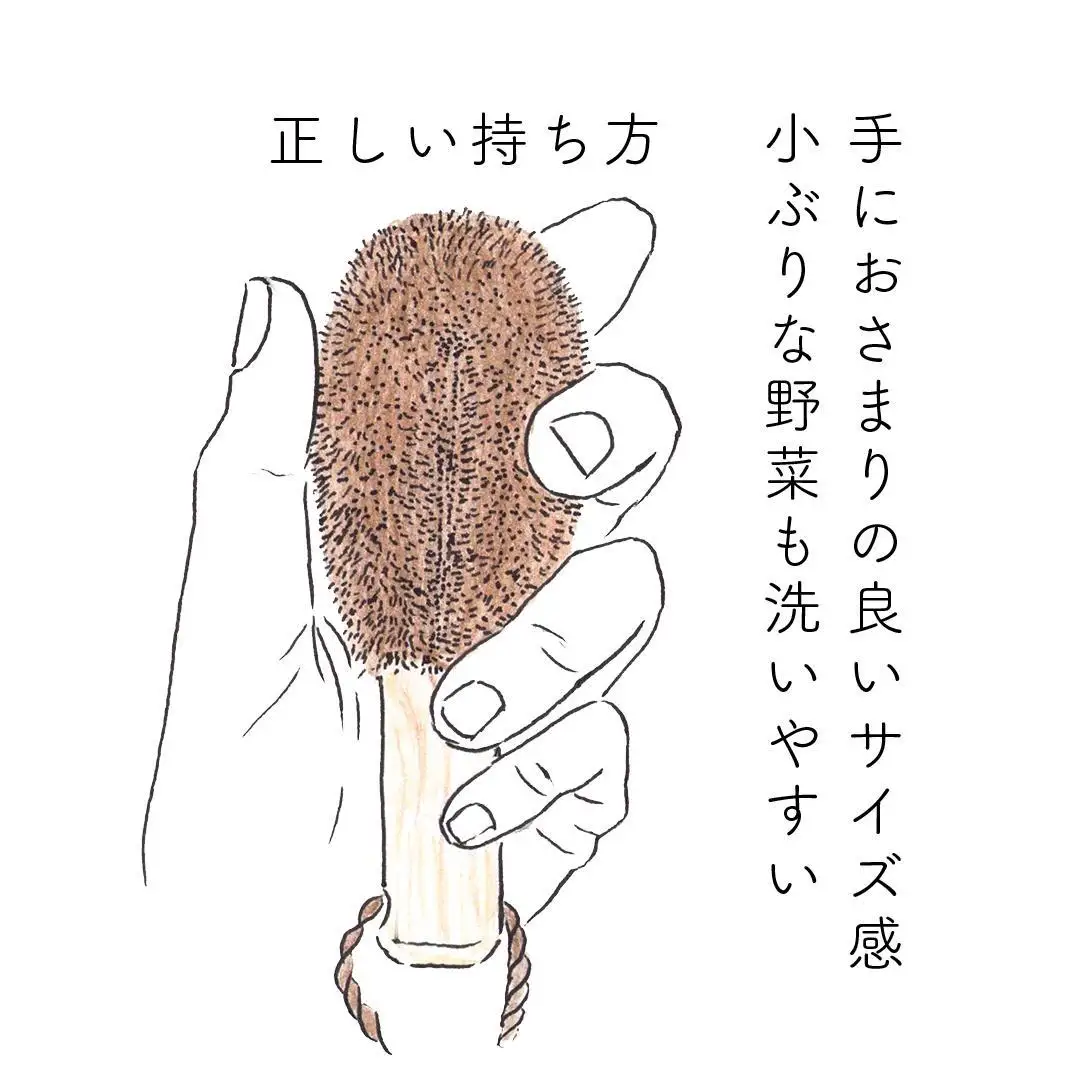 高田耕造商店 しゅろのやさしいたわし 野菜洗い用