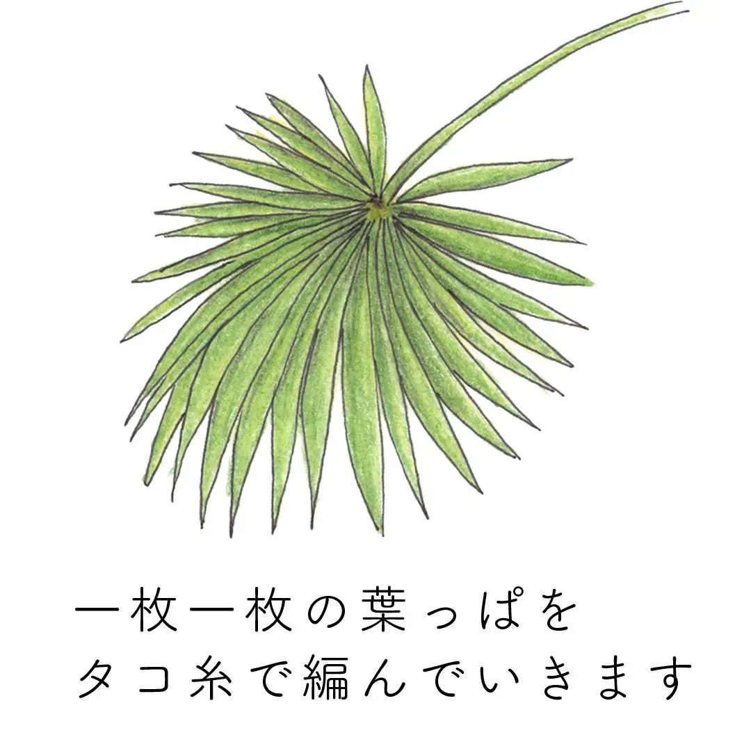 高田耕造商店 紀州棕櫚のハエたたき