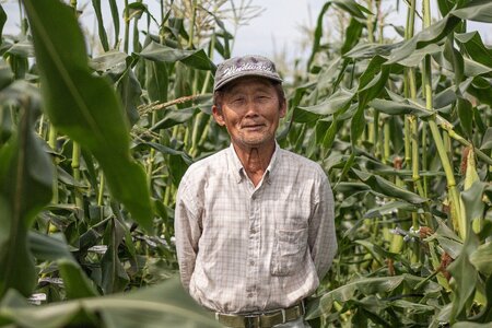 【期間限定発送】「野菜ソムリエサミット」2024年7月度 金賞受賞 とうもろこし スイートコーン ひなたプレミアコーン 2.5kg