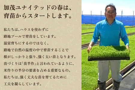 【令和8年産新米先行予約】加茂市産 特別栽培米 コシヒカリ 精米5kg 《10月上旬～順次出荷》