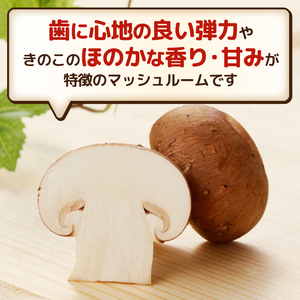 マッシュルーム 産地直送 長谷川農産 小×2パック セット 新鮮 2種 ホワイト ブラウン 最新栽培技術 無農薬 無漂白 生でも食べられる ビタミン たんぱく質 きのこ キノコ 静岡県 富士市 野菜 [sf002-351]