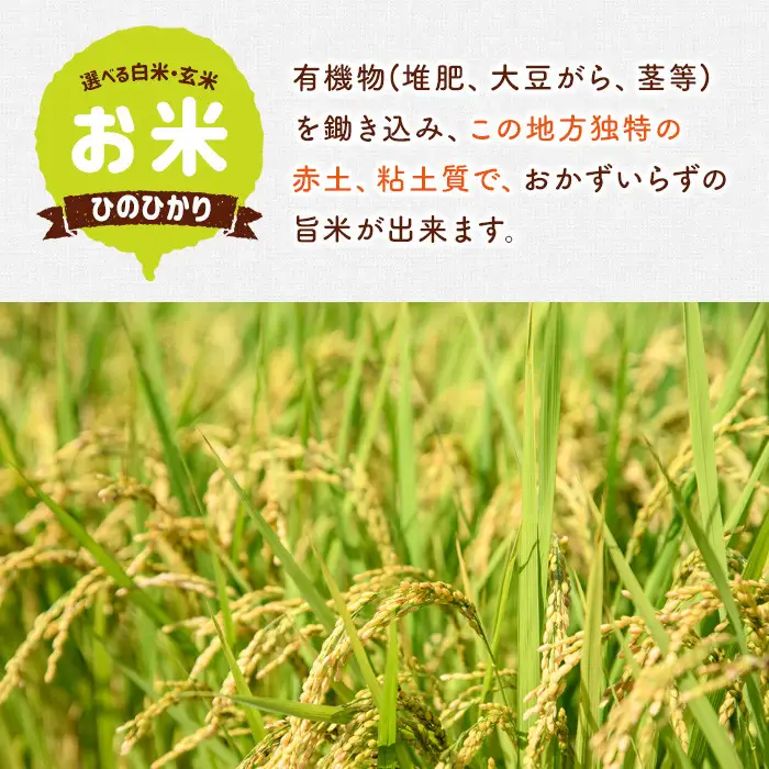 ＜令和7年産＞ひのひかり 玄米 (計20kg・5kg×4P) お米 ごはん ご飯【107101503】【あいはな農園】