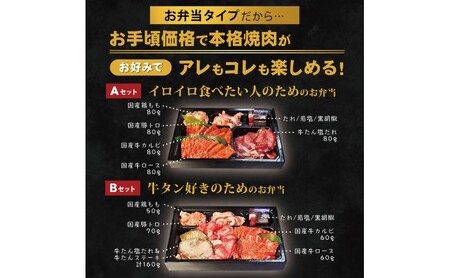 お肉のお弁当セット AB 毎月届く 焼肉 お肉のお弁当セット【定期便2回】