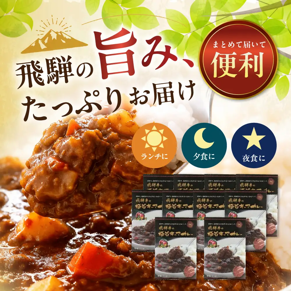 飛騨牛の極旨カレー 10食セット / カレー レトルト [C0062pic]
