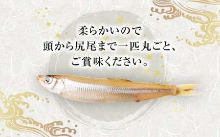 【竹田市産】 冷凍 わかさぎ 220g×2袋 計440g 約50匹 ワカサギ